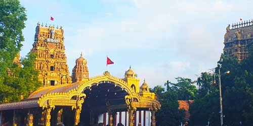 Nallur Festival Information - Jaffna Sri Lanka